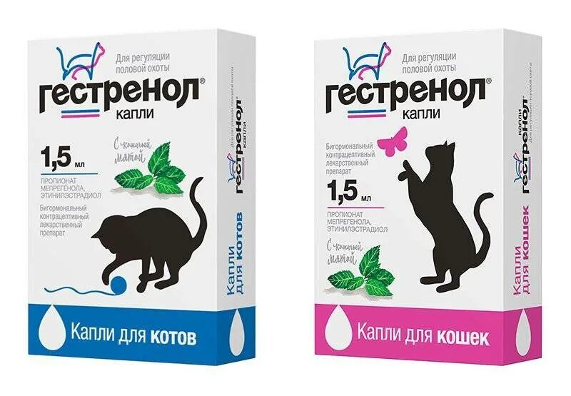 Как отучить кошку метить
