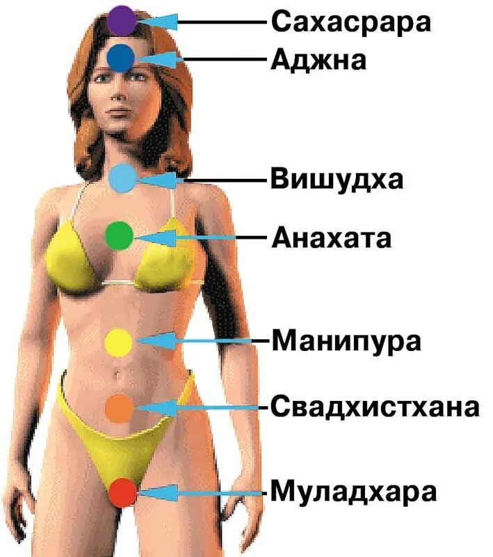 Девушку местоположение. Чакры человека расположение. Манипура чакра на теле человека. Где находятся чакры у человека. Анахата чакра где находится.