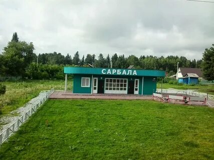 Гисметео сарбала кемеровская