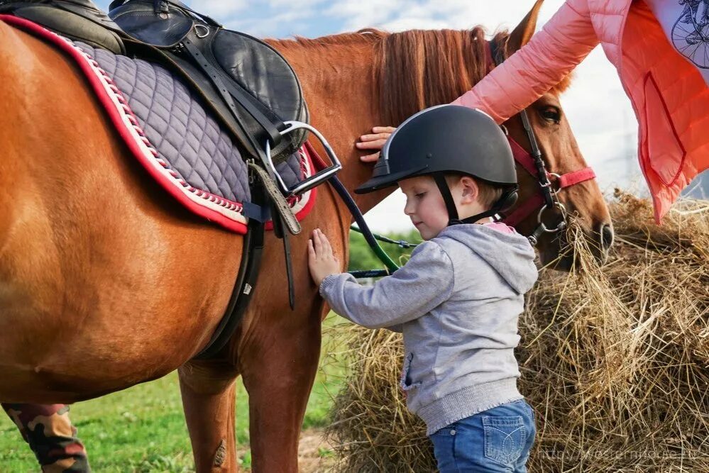 Увлекаюсь верховой ездой. КСК Western Horse. Верховая езда. Езда на пони. Дети и родители верховая езда.