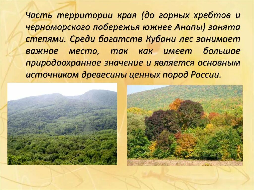 Какие богатства есть в краснодарском крае. Презентация на тему Краснодарский край. Природа Краснодарского края презентация. Богатства Краснодарского края. Проект на тему Краснодарский край.