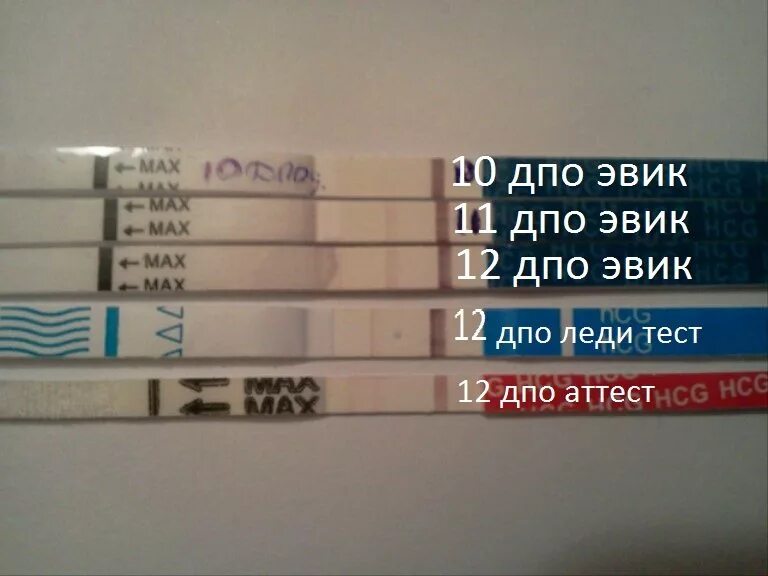 Чувствительность теста 25. 10 ДПО Эви тест. Тест 11 ДПО тест 10ме. Чувствительность тестов на беременность 20 ММЕ/мл. Тест на беременность на 10 день после овуляции.