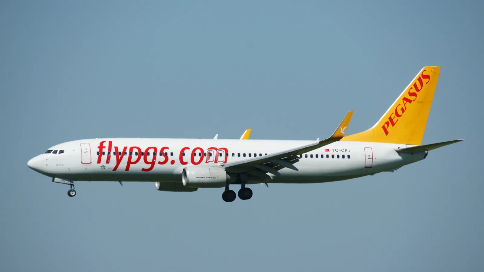 Пегасус эйрлайнс отзывы. Boeing 737-800 Pegasus. Авиакомпания Пегасус Эйрлайнс. Пегасус авиакомпания Стамбул. Pegasus Airlines самолеты.