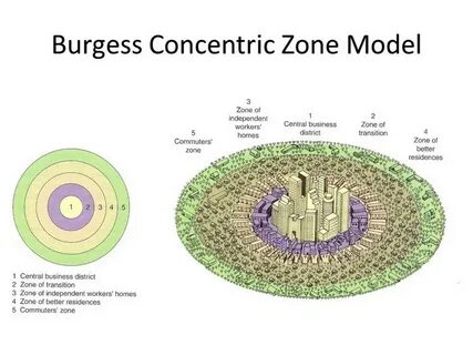 Model zone