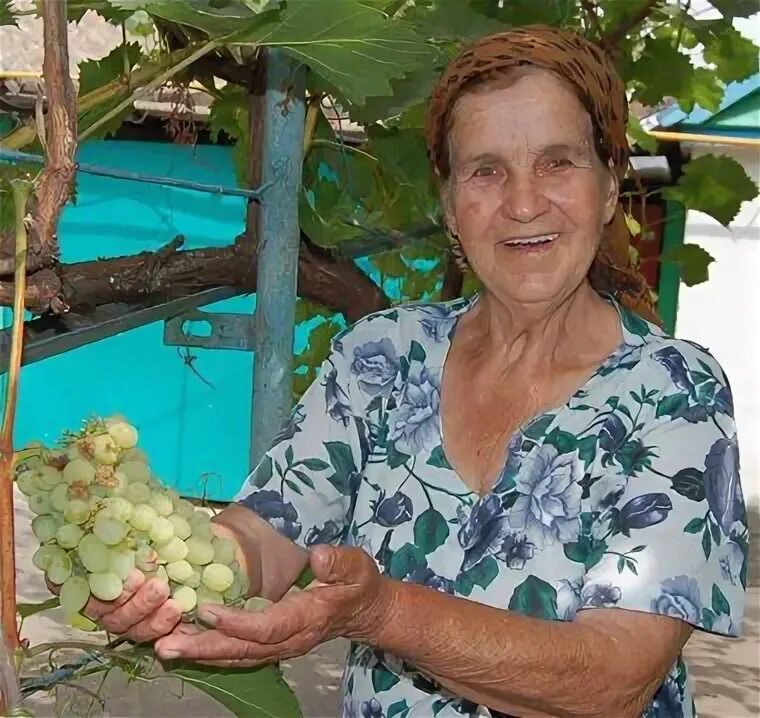 Переверзева ридель