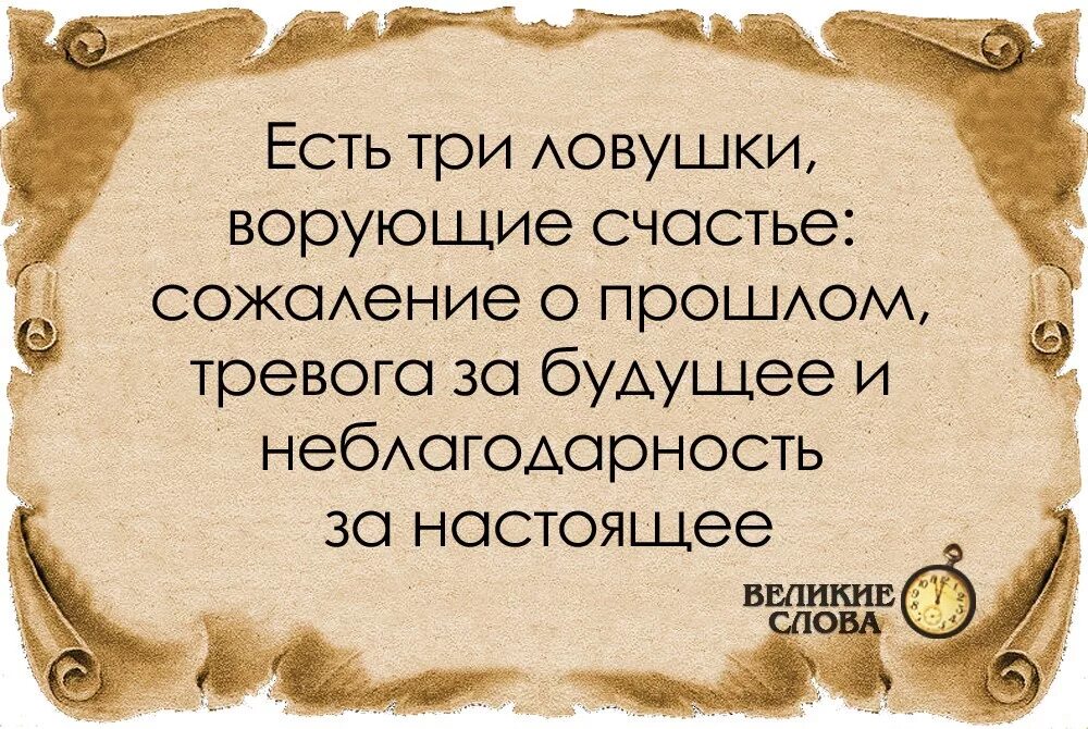 Свобода души. Когда нибудь я стану мудрым. Мы в ответе за кого приручили. Задуматься о жизни. Когда нибудь я стану мудрым.