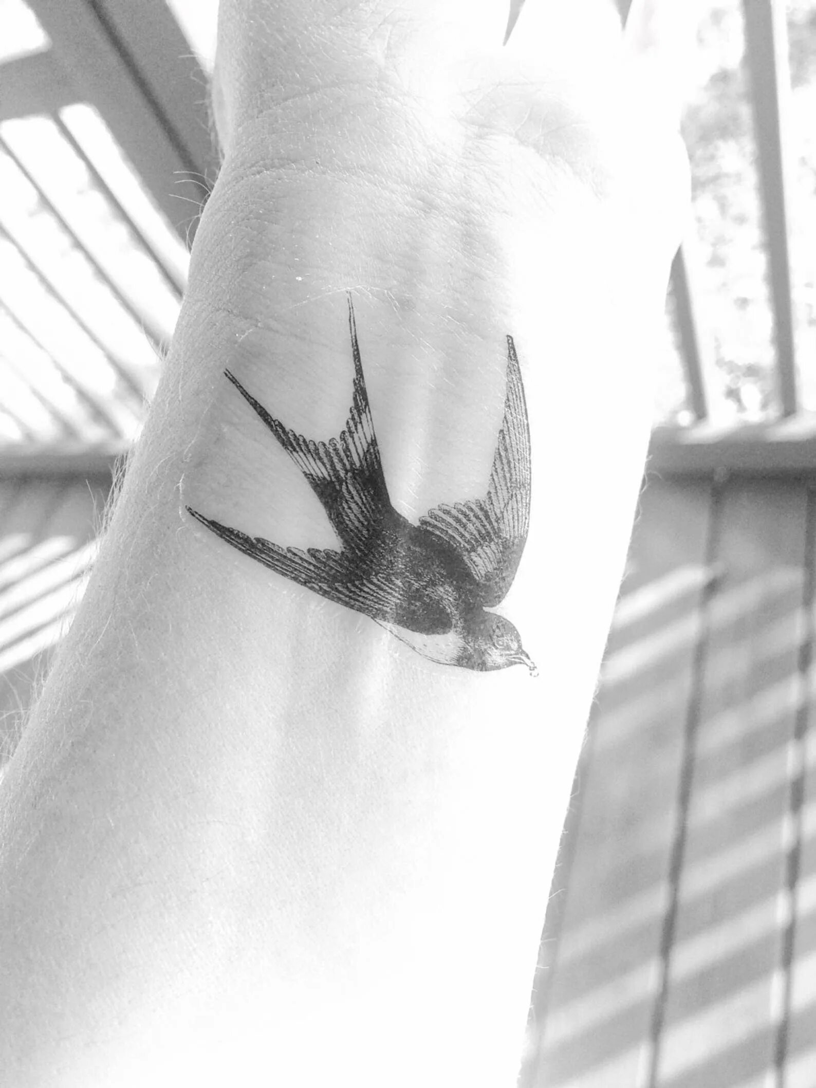 тату на кисти мужские маленькие. тату ласточка цветная. тату ласточка маленькая. тату птицы на руке мужские. тату ласточка на кисти.