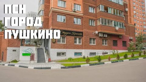 Пушкино 12
