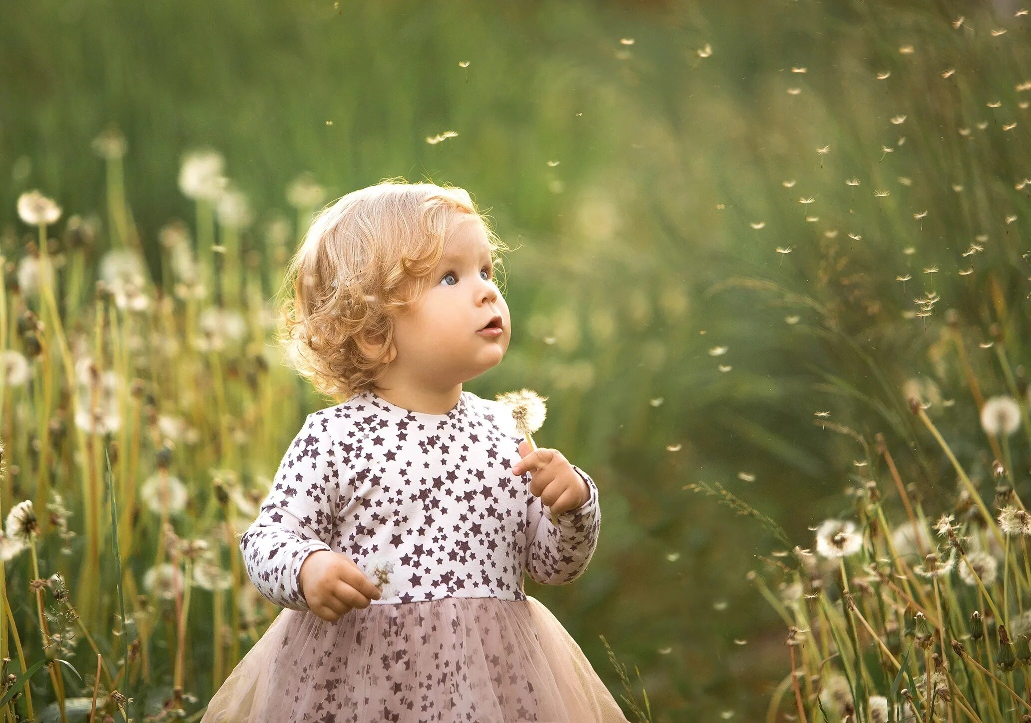 Картинки мелких детей. Фотосессия в одуванчиках. Девочка с одуванчиком. Дети и природа. Красивые дети природа.