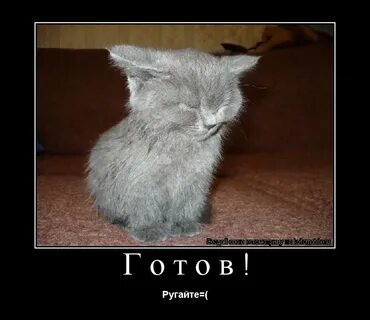 Тихо не ругайся