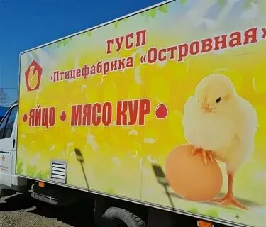 Территория птицефабрики