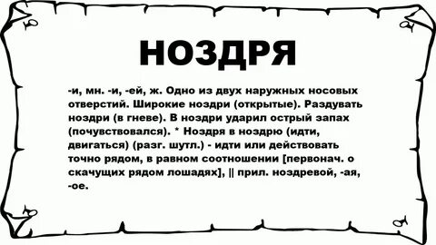 Зачем человеку две ноздри
