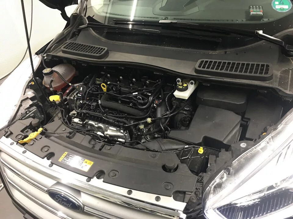 Предохранители форд куга 1.6 экобуст ГБО на Экобуст 1.6))) Ford Kuga (2G), 1,6 л, 2014 года другое DRIVE2