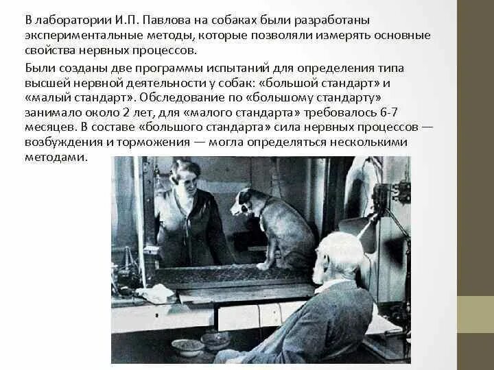 В его труде под названием экспериментальные исследования. Опыты ивана петровича павлова. исследования павлова. опыты павлова по изучению пищеварения. опыт павлова с собакой.