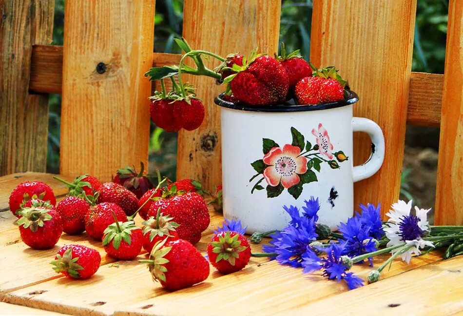 с добрым утром на даче. открытки летнего настроения. летние цветы в саду. летние цветы. августовские полевые цветы.