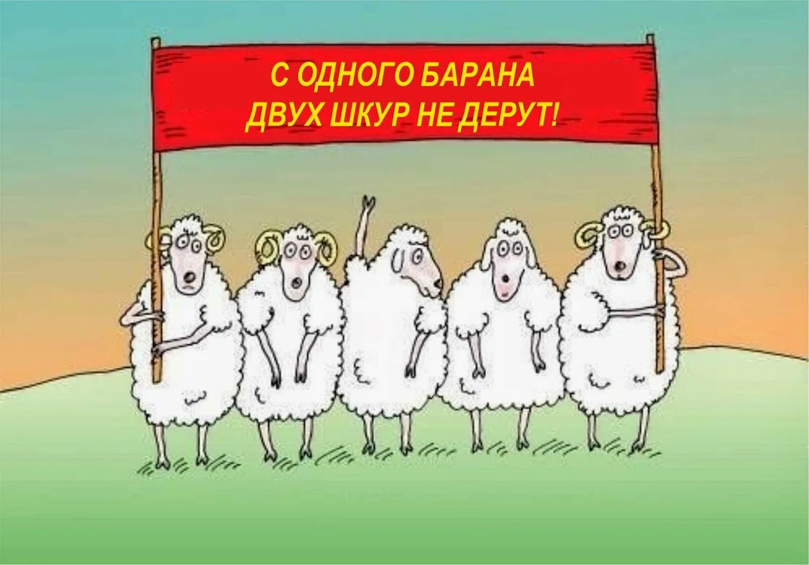 Высоцкий шагают бараны. Стадо Баранов карикатура. Овца карикатура. Бараны голосуют. Демонстрация карикатура.