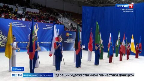 Скфо по художественной гимнастике