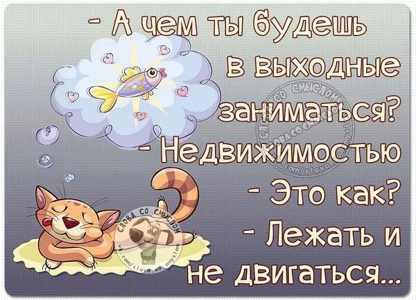 Чем заняться на выходных. В выходные я занимаюсь недвижимостью. Юмор про выходные. Суббота воскресенье выходной. Также есть чем заняться