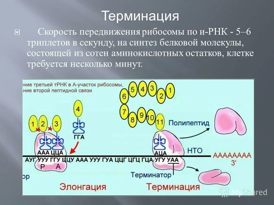 Физическая культура ведущий фактор здоровья студентов. Опорно-двигательная система состоит из органов. Функцию движения выполняет. Функцию движения выполняет. Жизненно важные функции организма.