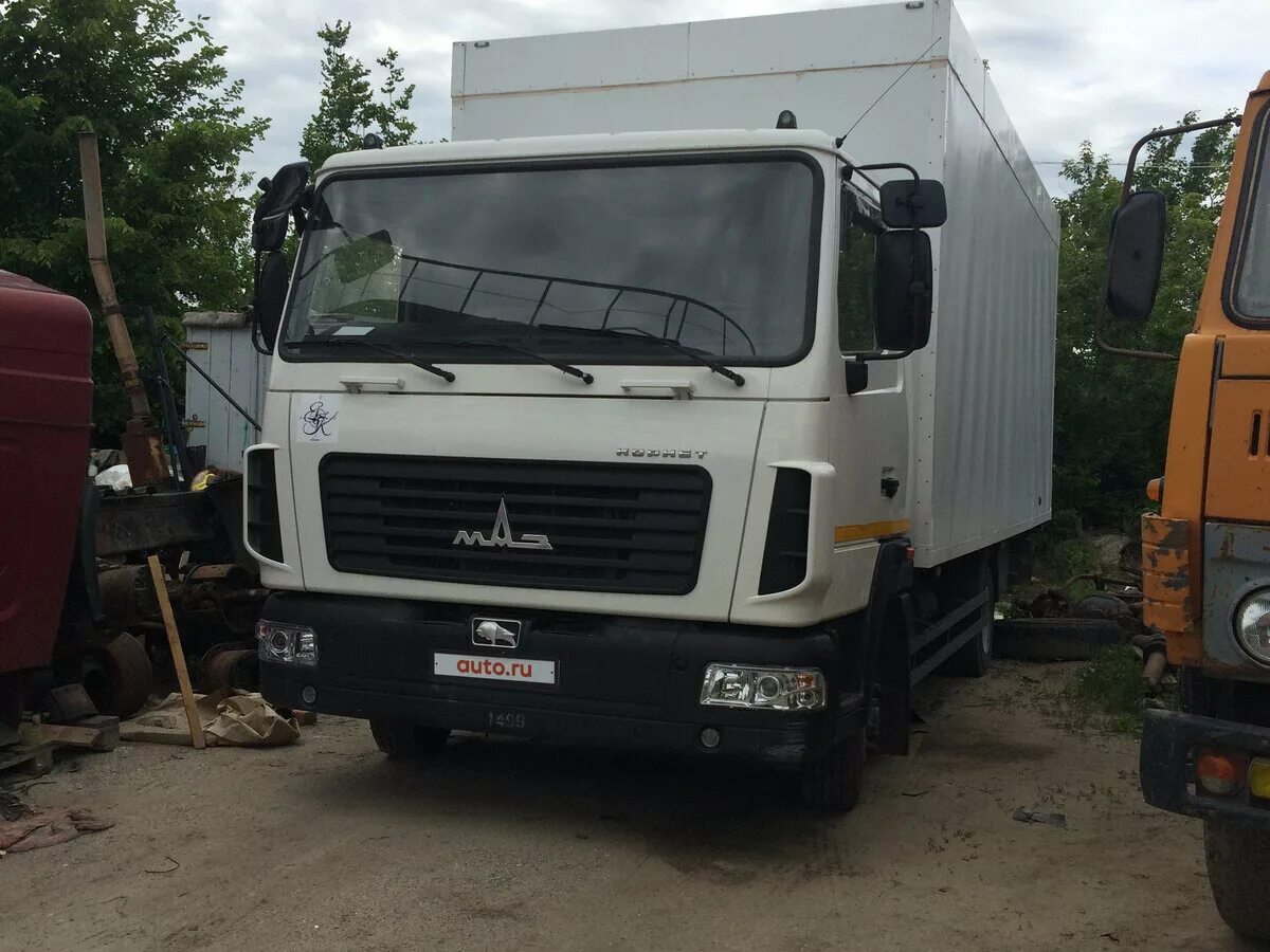 маз 4371 корнет