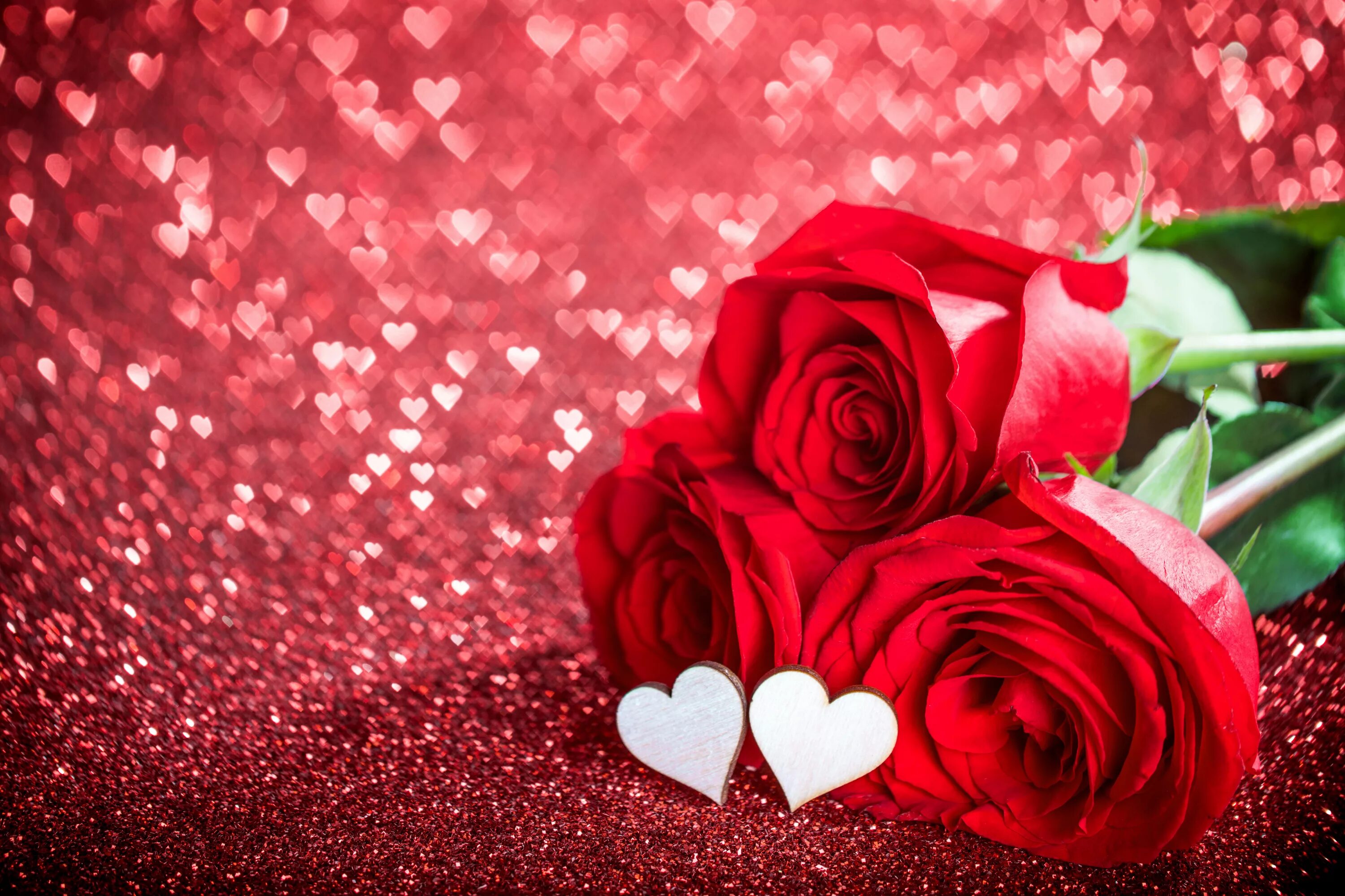 Цветы любви в вади сафия. Цветы сердечки. Красивые розы. Красивые красные розы. Цветы для любимой.