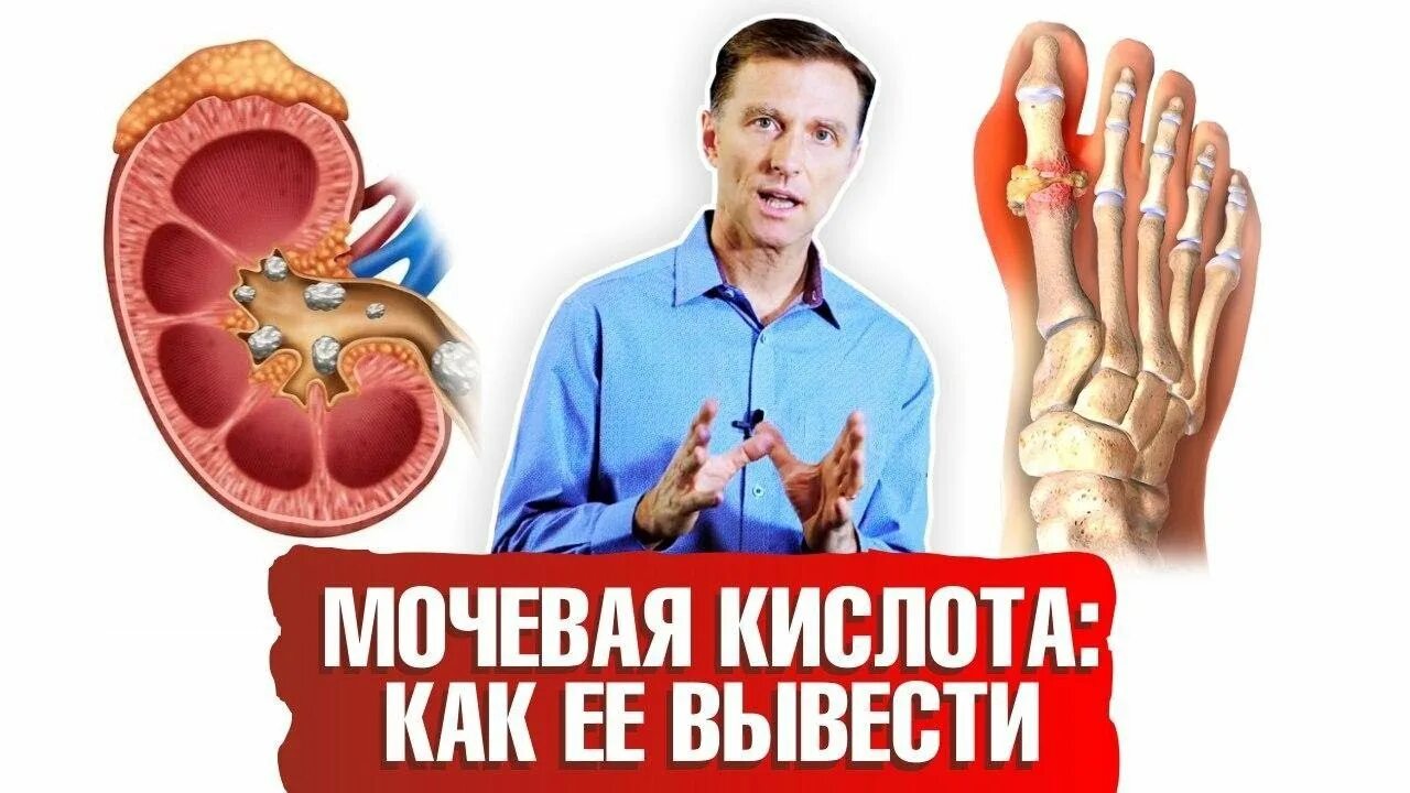 Берг почки. Берг почки. Голодание и камни в почках. Берг почки. Таблетки от кисты почек.