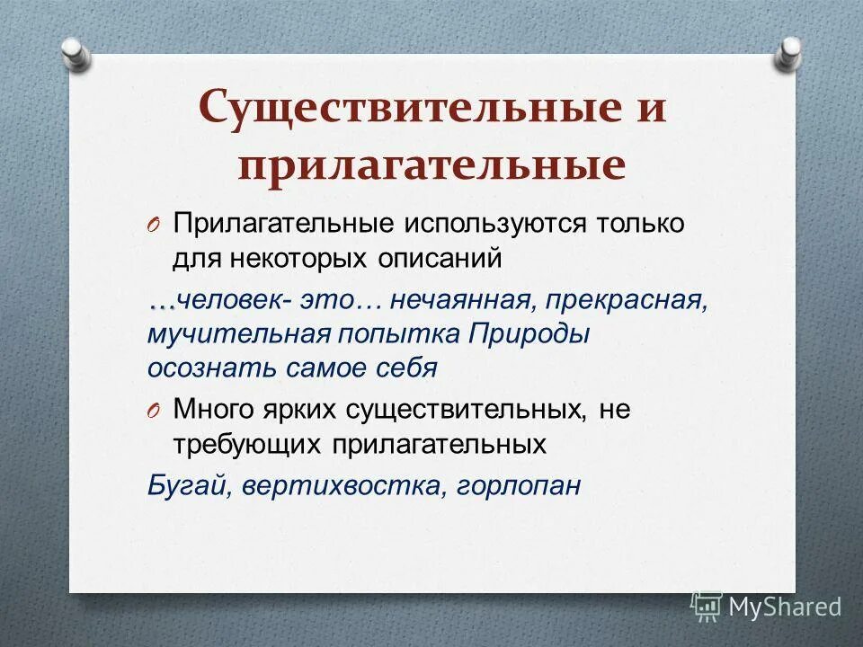 Притяжательные прилагательные примеры. Качественнприлагательные. Роль имени прилагательного в научной речи. Качественные имена прид. Любые прилагательные слова.