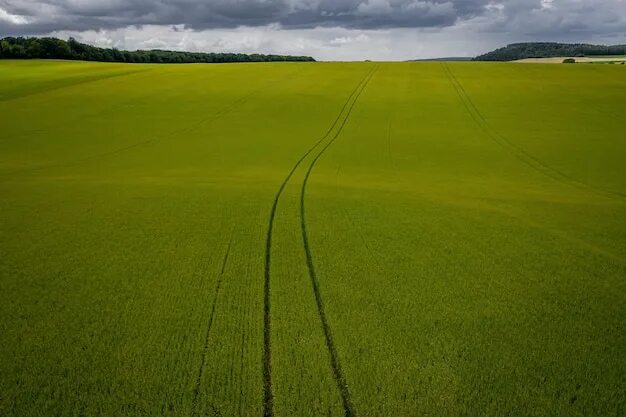 Row fields