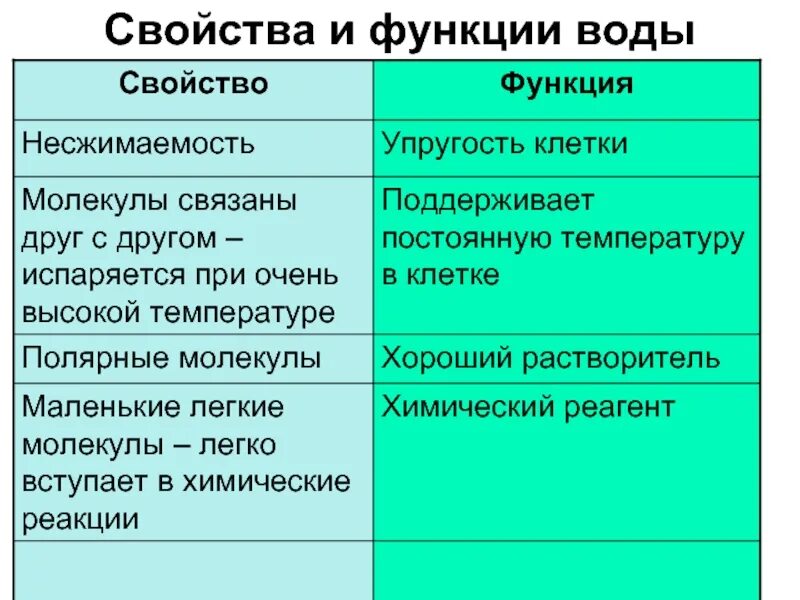 Вещества и функции живой клетки. Свойства и функции воды в клетке таблица. свойства и функции воды биология. строение и функции воды. свойства воды в клетке.