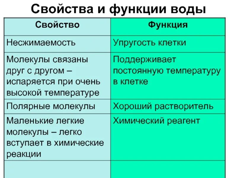 Биологические свойства клетки. Свойства и функции воды биология. Строение и функции воды. Таблица свойства и функции воды.