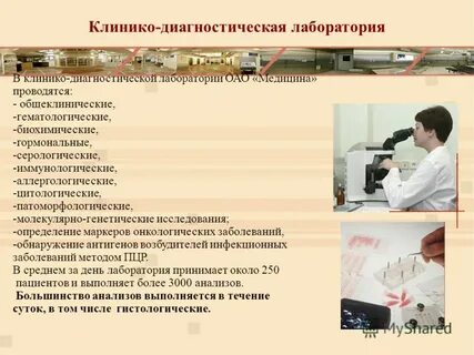 Номер телефона лаборатории кдл