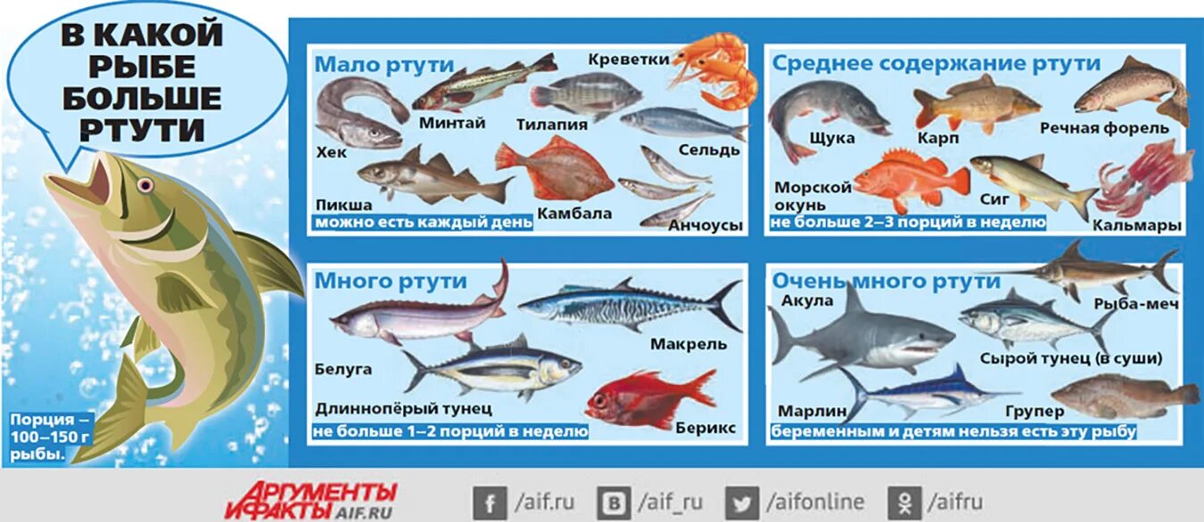 Почему рыба вредна. Содержание ртути в рыбе. Ртуть в рыбе. Рыба по содержанию ртути. Рыба с большим содержанием ртути.