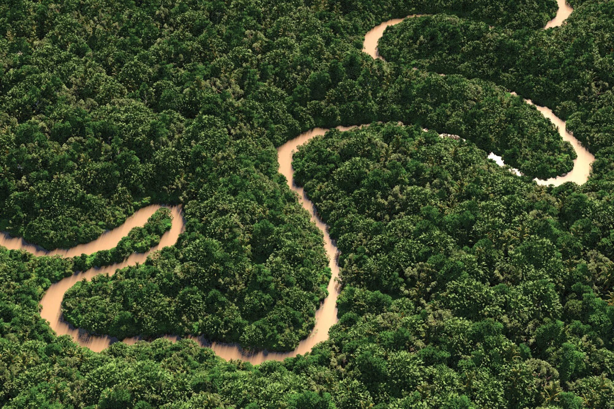 амазонка количество