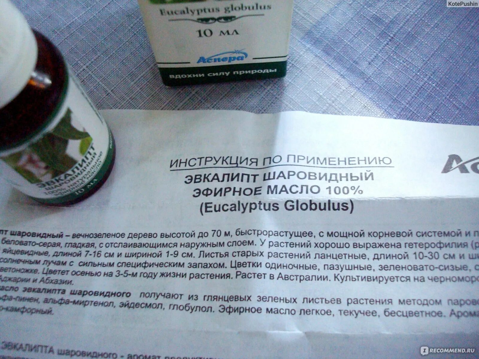 Эвкалипт масло применение инструкция. Эвкалиптовое масло польза. Чем полезно масло эвкалипта. Эвкалипт масло применение инструкция. Настойка эвкалипта состав.