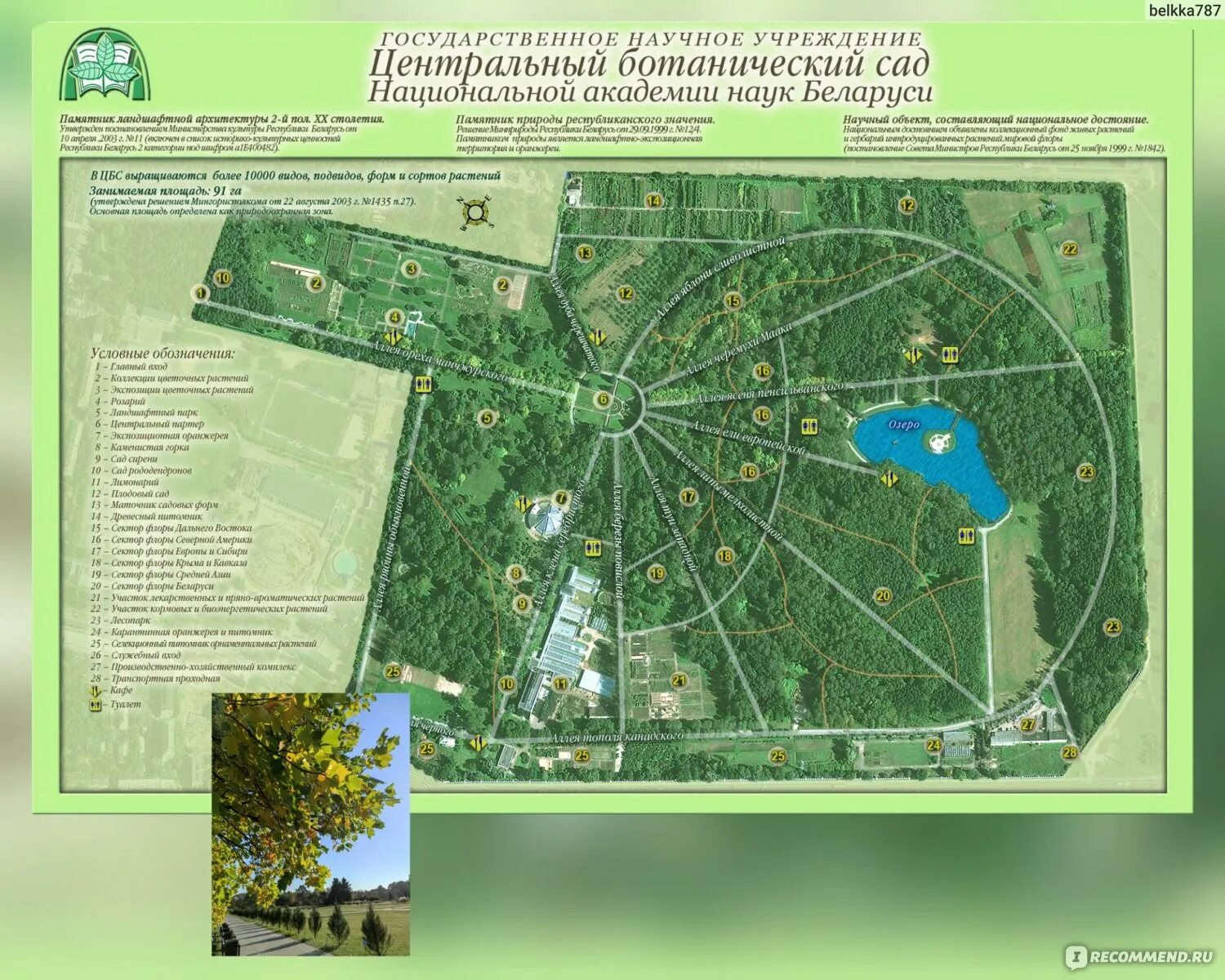 Схема ботанического сада цицина. План ботанического сада в москве схема. План ботанического сада в москве им цицина. Главный ботанический сад в москве схема парка. Карта ботанического сада в москве.