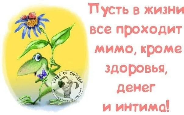 Пусть тебе в жизни все удается. Пусть в жизни все проходит мимо. Пусть в жизни все проходит мимо кроме денег и интима. Пусть в жизни все проходит мимо кроме здоровья. Пусть в жизни все проходит мимо кроме денег и.