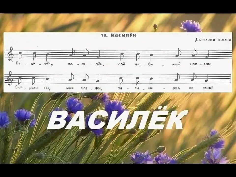 Василек Василек мой любимый цветок. Василек Василек Ноты. Василек Ноты для аккордеона.