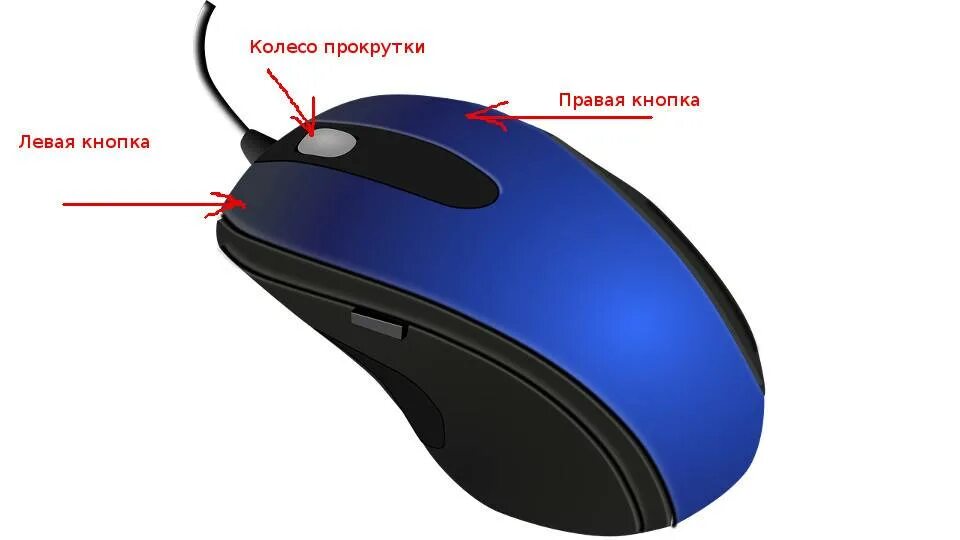 Как правильно ставить мышку. Как правильно ставить мышку