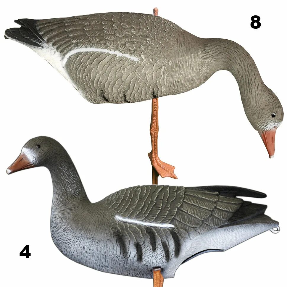 Гусиные чучела. Чучела белолобого гуся wsd eva. Гусь гуменник профиль. Чучела гусей спортпласт 3д. Гусиные чучела.