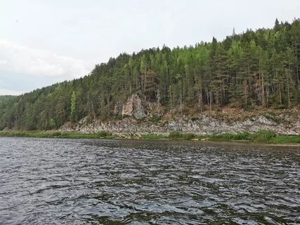 Сплав журавлик кын