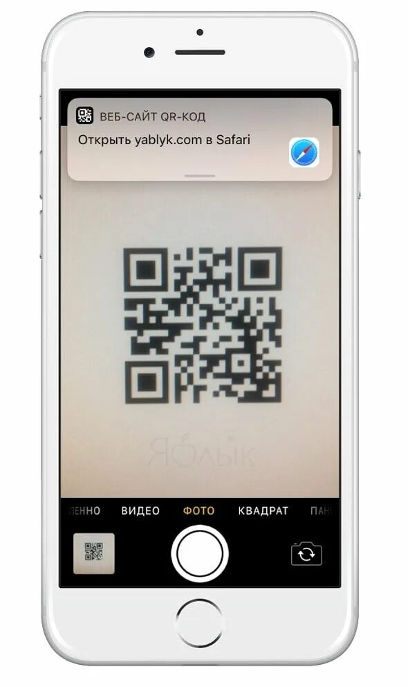 Как считать код айфоном. Сканер qr на айфоне. айфон 11 сканер qr. айфон сканирует qr код. отсканировать qr код на айфоне.