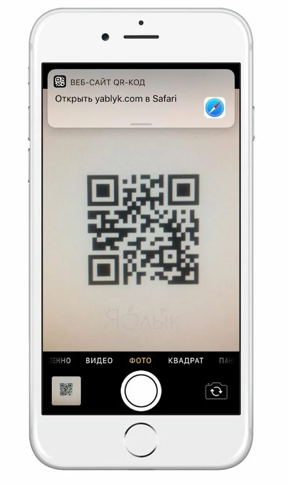 Айфон 11 сканер QR. Айфон сканирует QR код. Считыватель QR кодов на айфоне. Сканировать код на айфоне. Считать код сканером