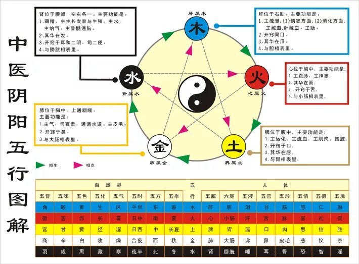 Китайская медицина органы. Усин китайская медицина меридианы. 5 Элементов китайской медицины таблица. Усин китайская философия.