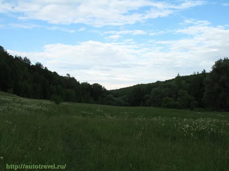 Погода в тарусе калужской области. Почуевская Долина Таруса. Долина грез Таруса. Таруса город Долина грез. Долина грез Таруса фото.