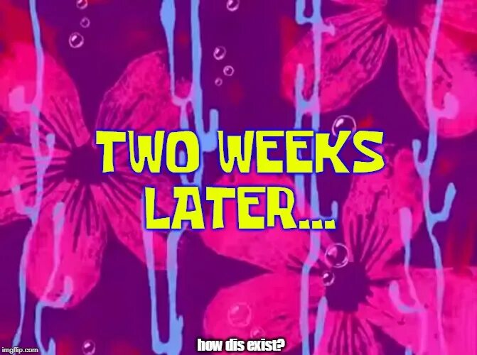 7 weeks later. Two weeks later. 1 Неделя later. Two weeks later Spongebob. Спанч Боб one week later.