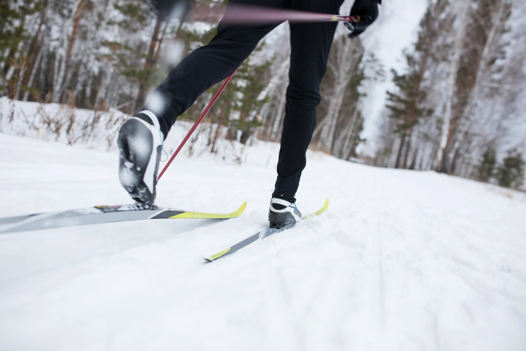 Skiing track. Беговые лыжи. Лыжи на лыжне. Катания на беговых лыжах. Беговые лыжи спорт.