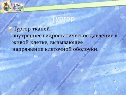 Что такое тургор у растений