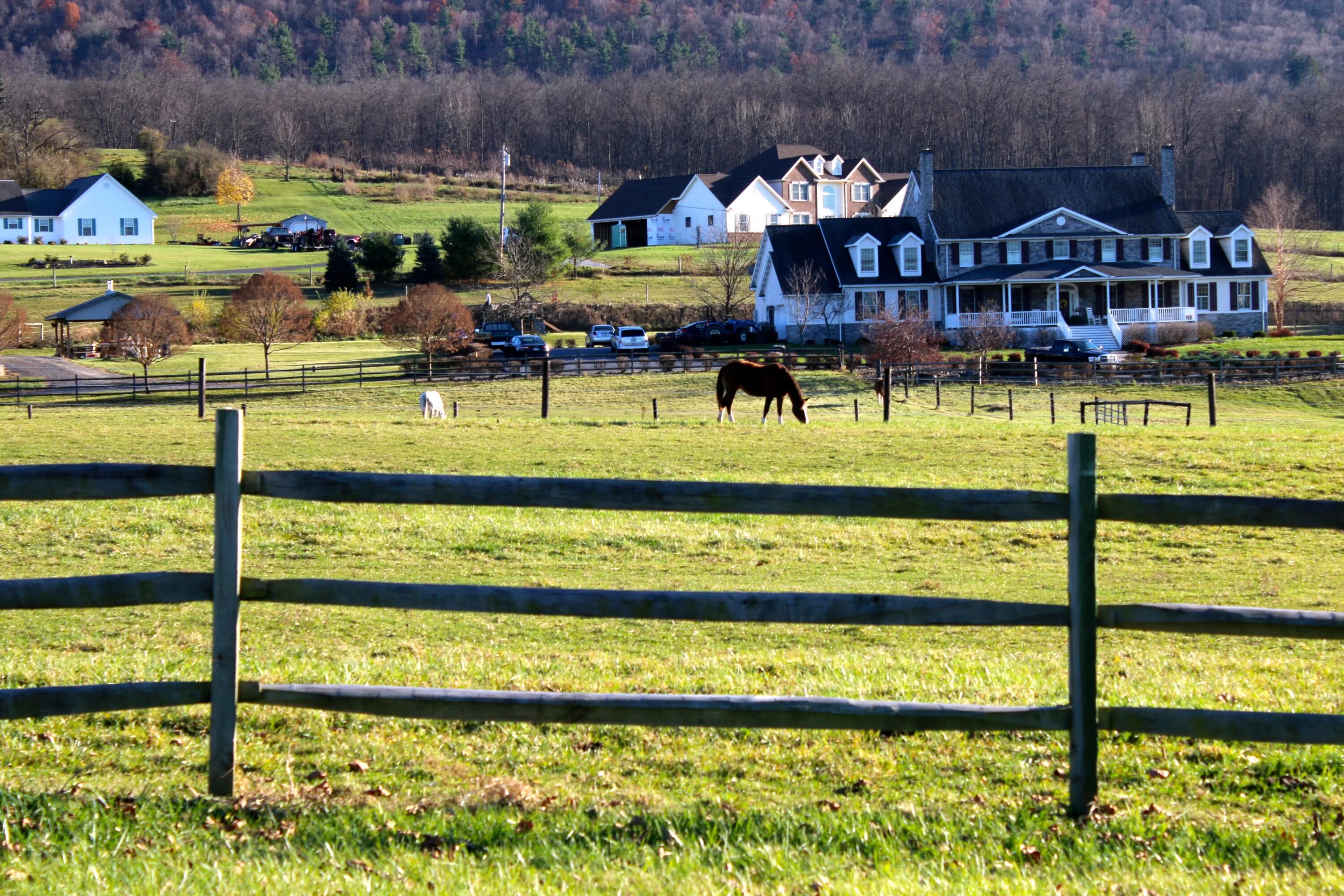 Country photos. Ранчо ферма США. Шотландия ранчо. Ранчо в Англии. Ранчо в Германии.