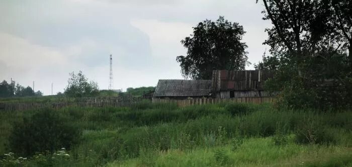 Погода в тинах нижнеингашского. Сайт село Тины Нижнеингашского района. Село Тины озеро Нижнеингашского района Красноярского края. Деревня Ошарово Нижнеингашского района. Село Тины.