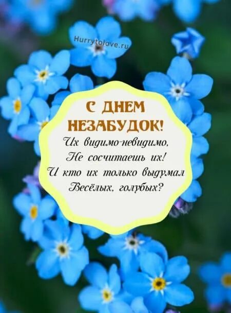 День незабудок. Незабудка надпись. Открытка с днем рождения незабудки. Картинки стих незабудки.